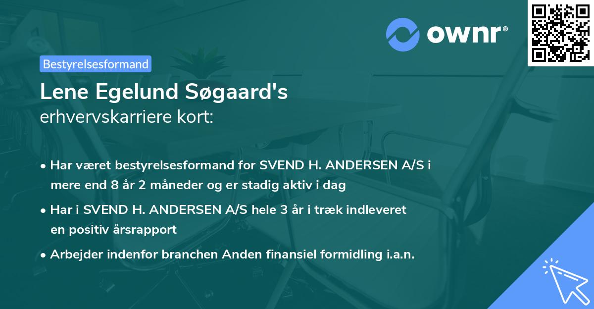 Lene Egelund Søgaard's erhvervskarriere kort