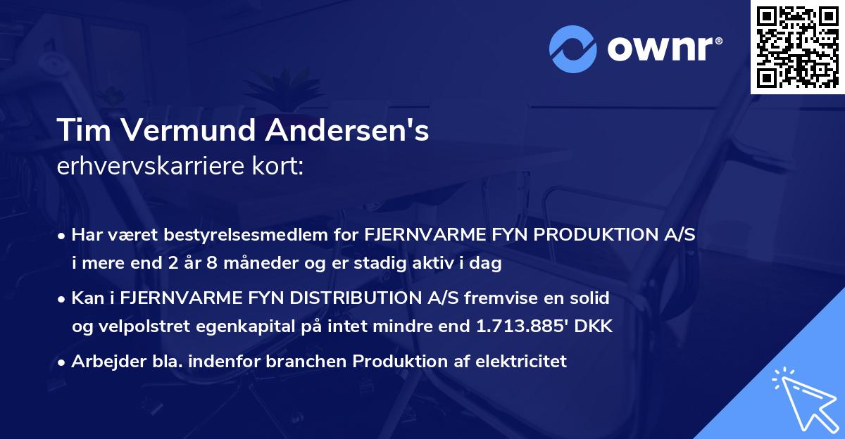 Tim Vermund Andersen's erhvervskarriere kort