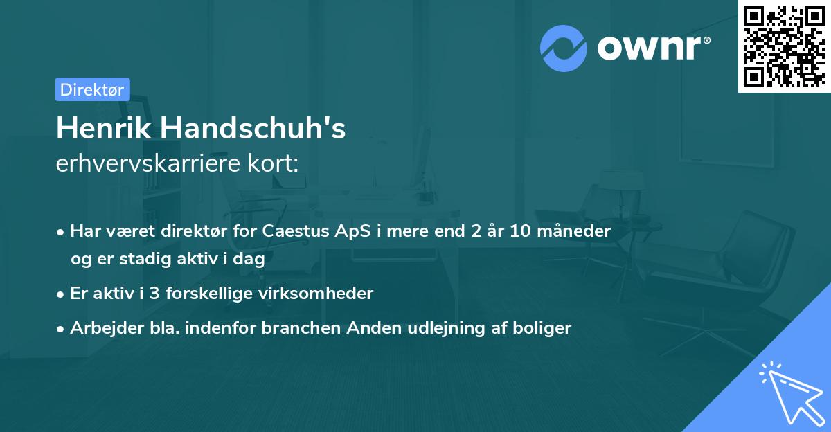 Henrik Handschuh's erhvervskarriere kort