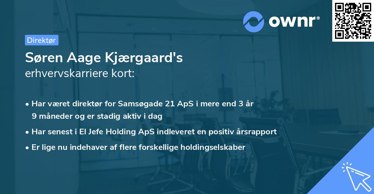 Søren Aage Kjærgaard's erhvervskarriere kort