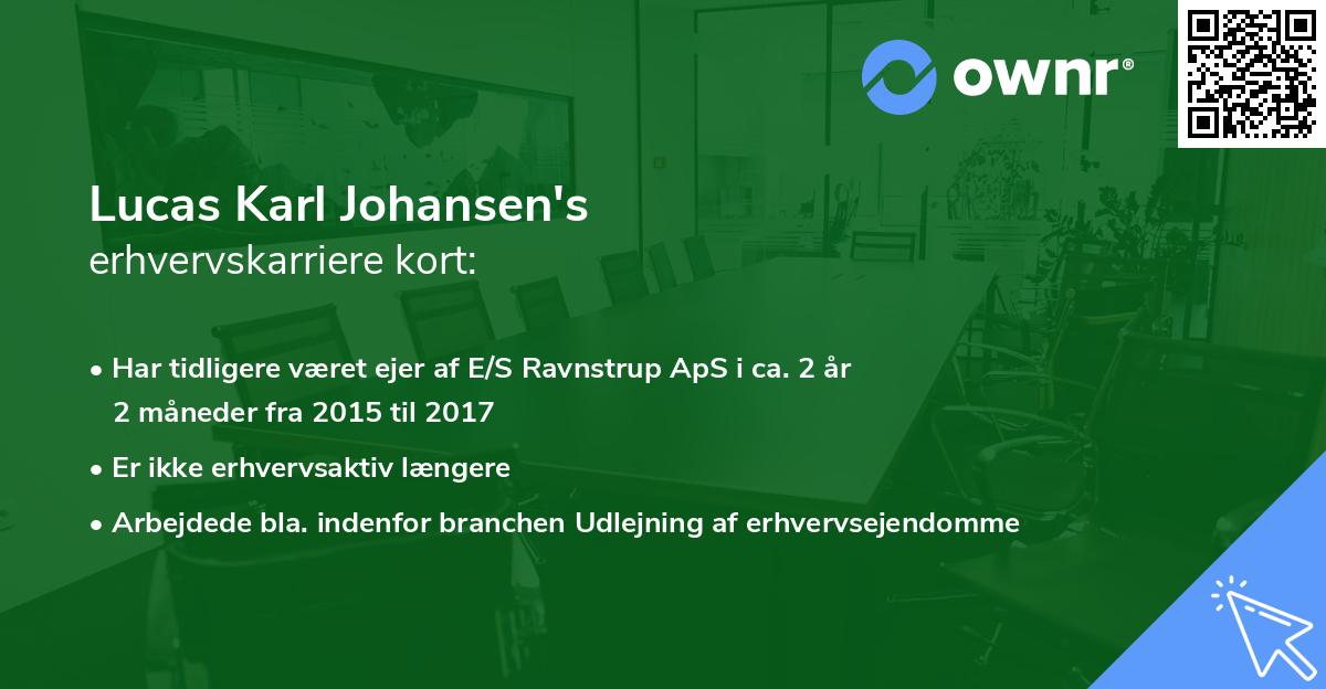 Lucas Karl Johansen's erhvervskarriere kort