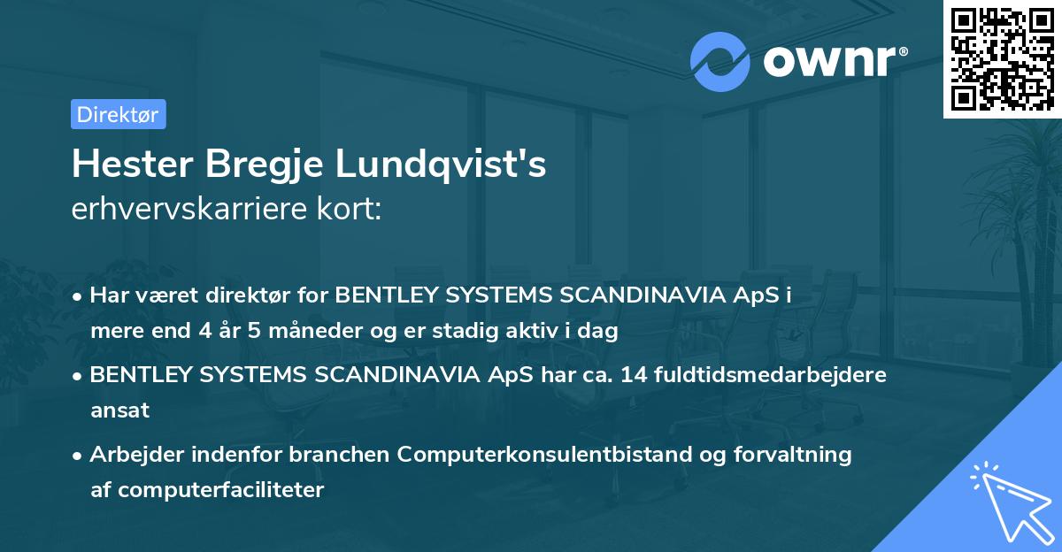 Hester Bregje Lundqvist's erhvervskarriere kort