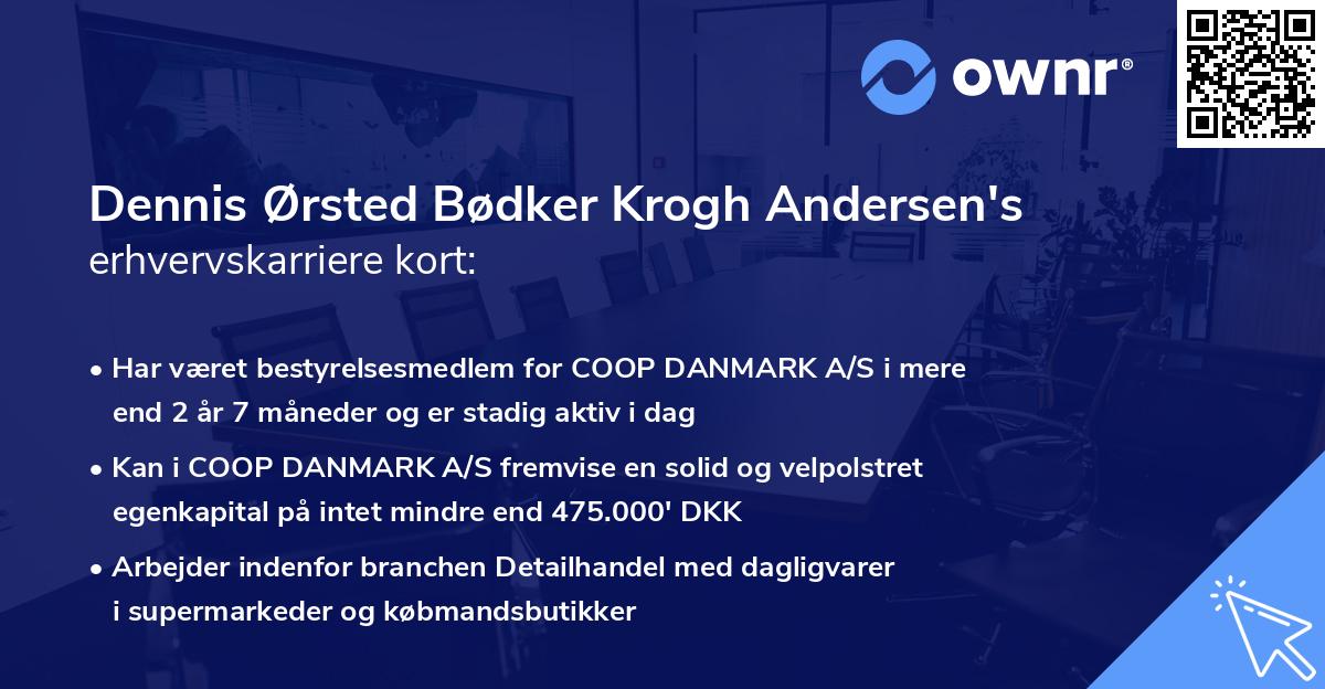 Dennis Ørsted Bødker Krogh Andersen's erhvervskarriere kort