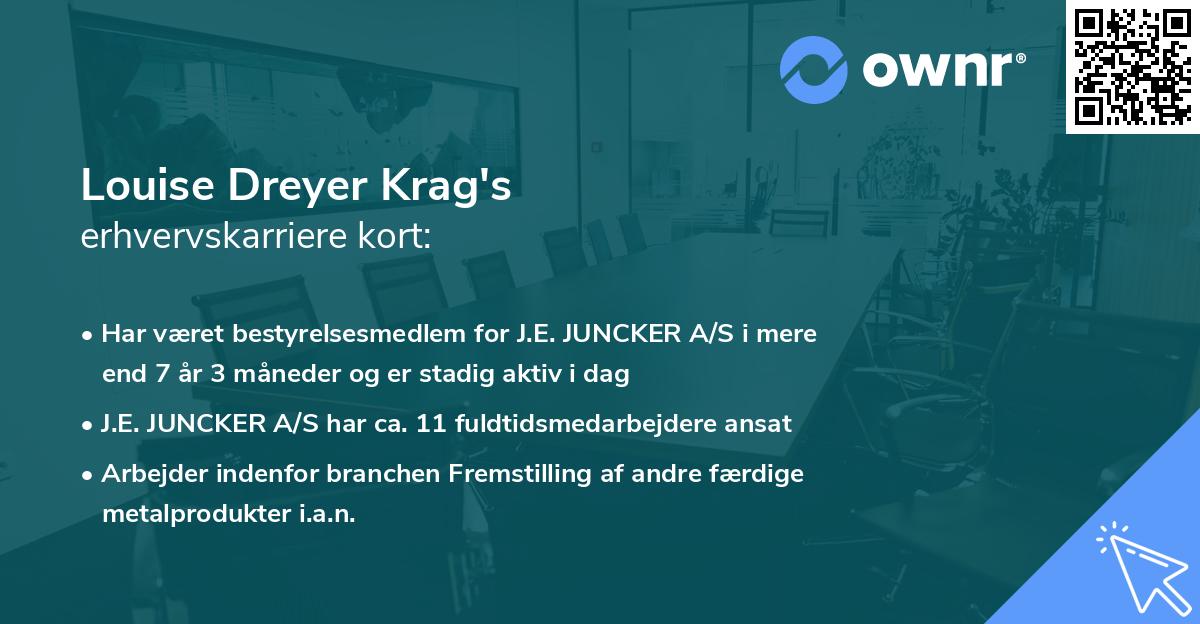 Louise Dreyer Krag's erhvervskarriere kort