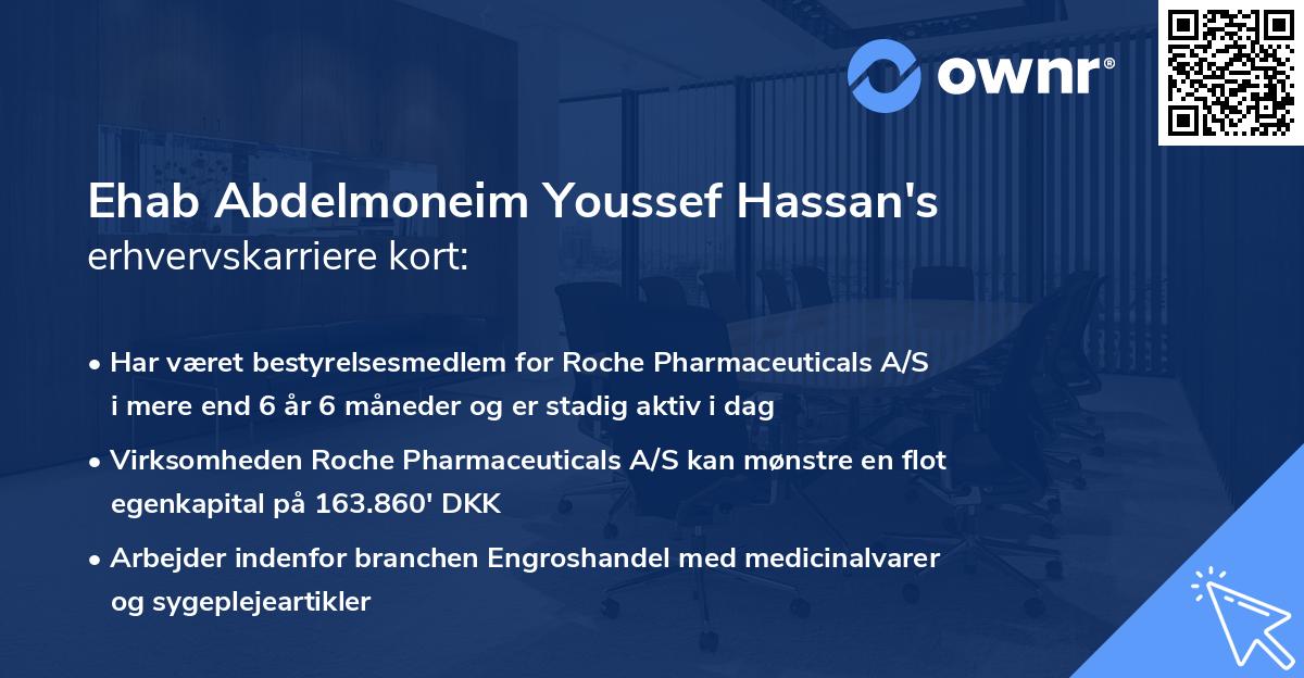 Ehab Abdelmoneim Youssef Hassan's erhvervskarriere kort