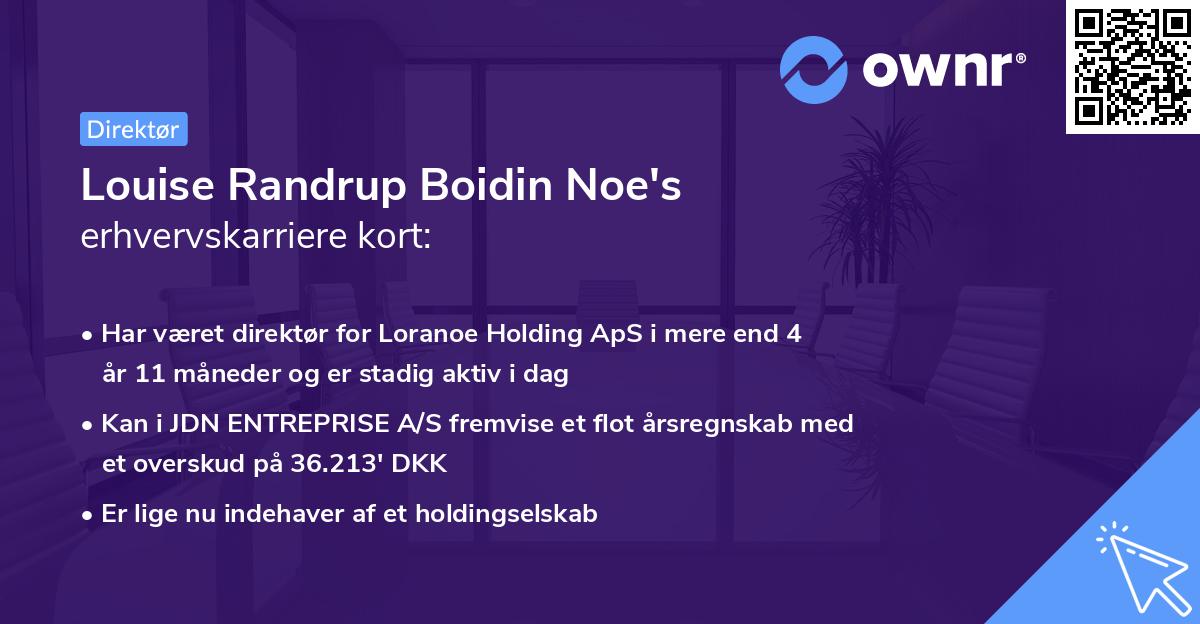 Louise Randrup Boidin Noe's erhvervskarriere kort