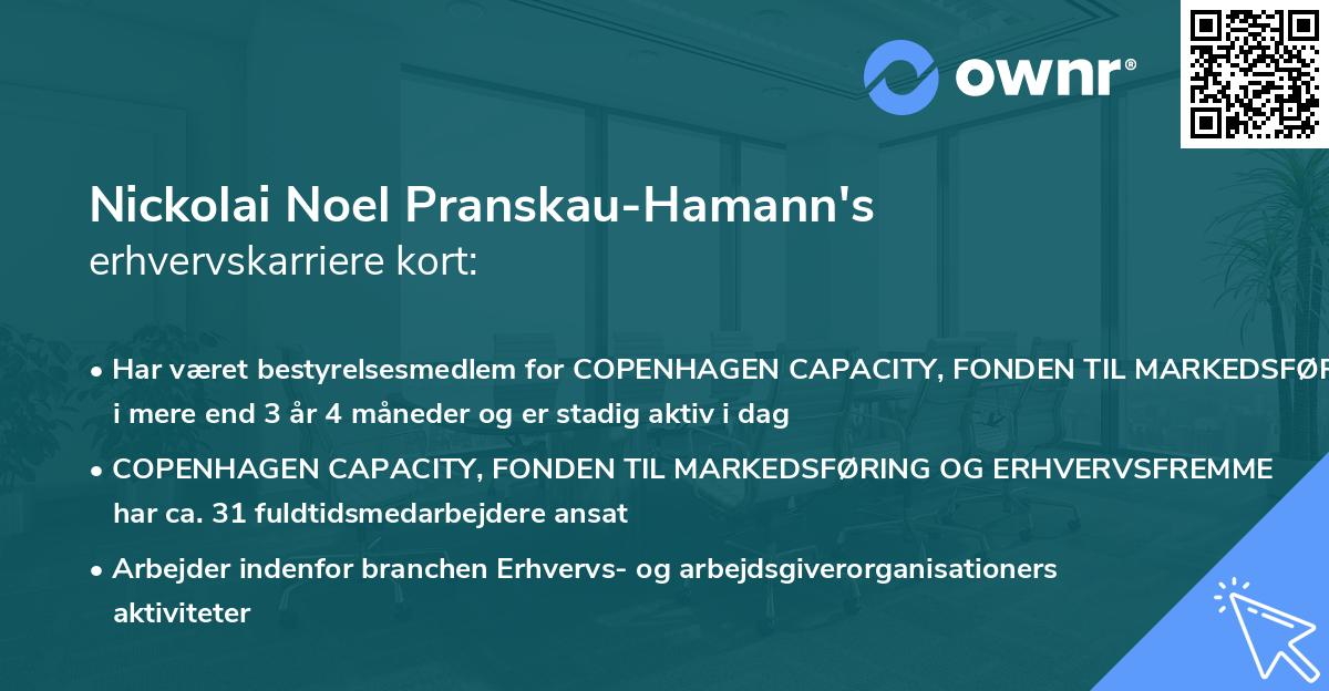 Nickolai Noel Pranskau-Hamann's erhvervskarriere kort