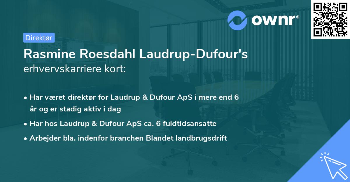 Rasmine Roesdahl Laudrup-Dufour's erhvervskarriere kort
