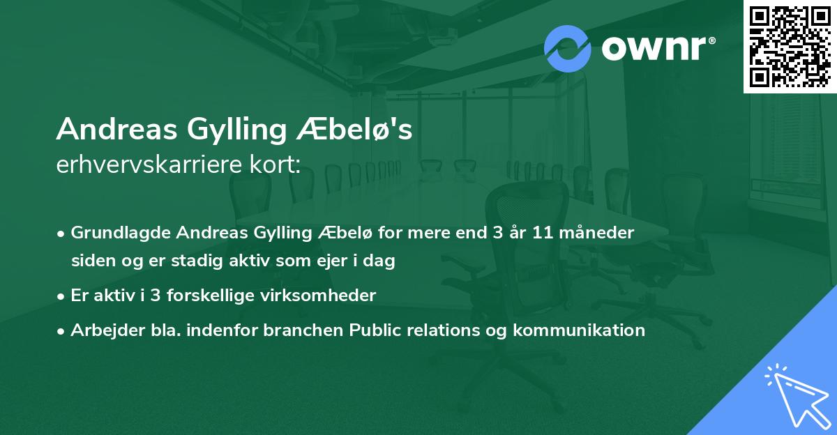 Andreas Gylling Æbelø's erhvervskarriere kort