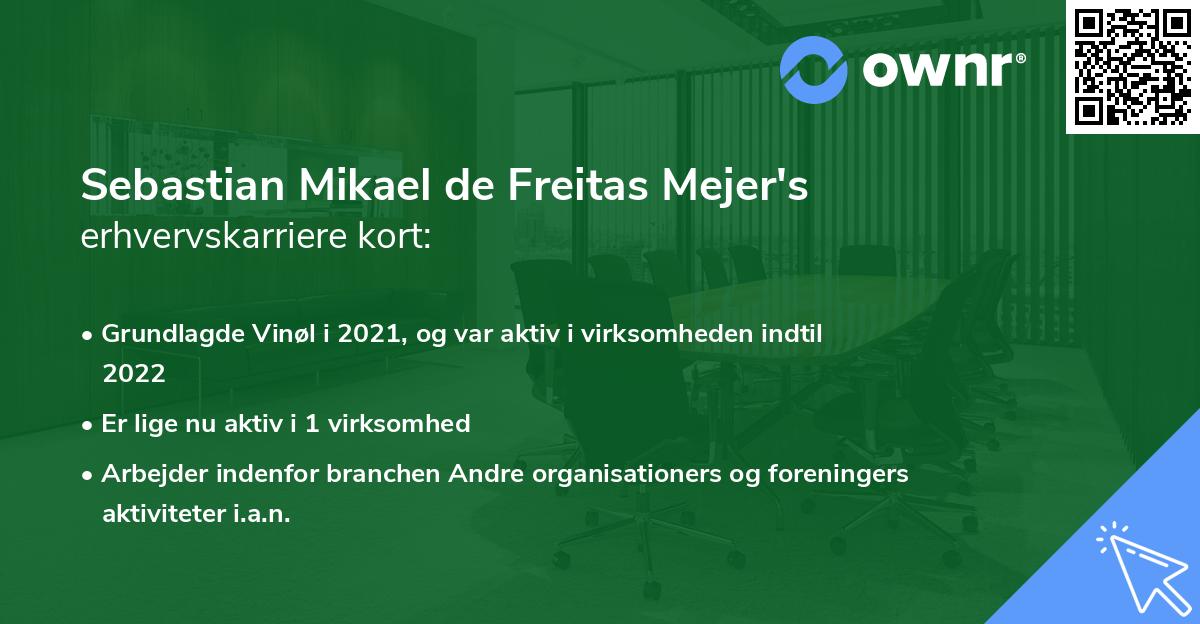 Sebastian Mikael de Freitas Mejer's erhvervskarriere kort