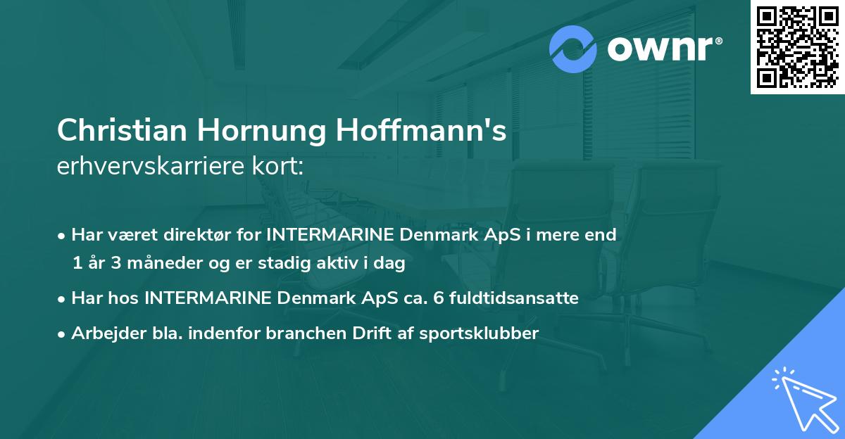 Christian Hornung Hoffmann's erhvervskarriere kort
