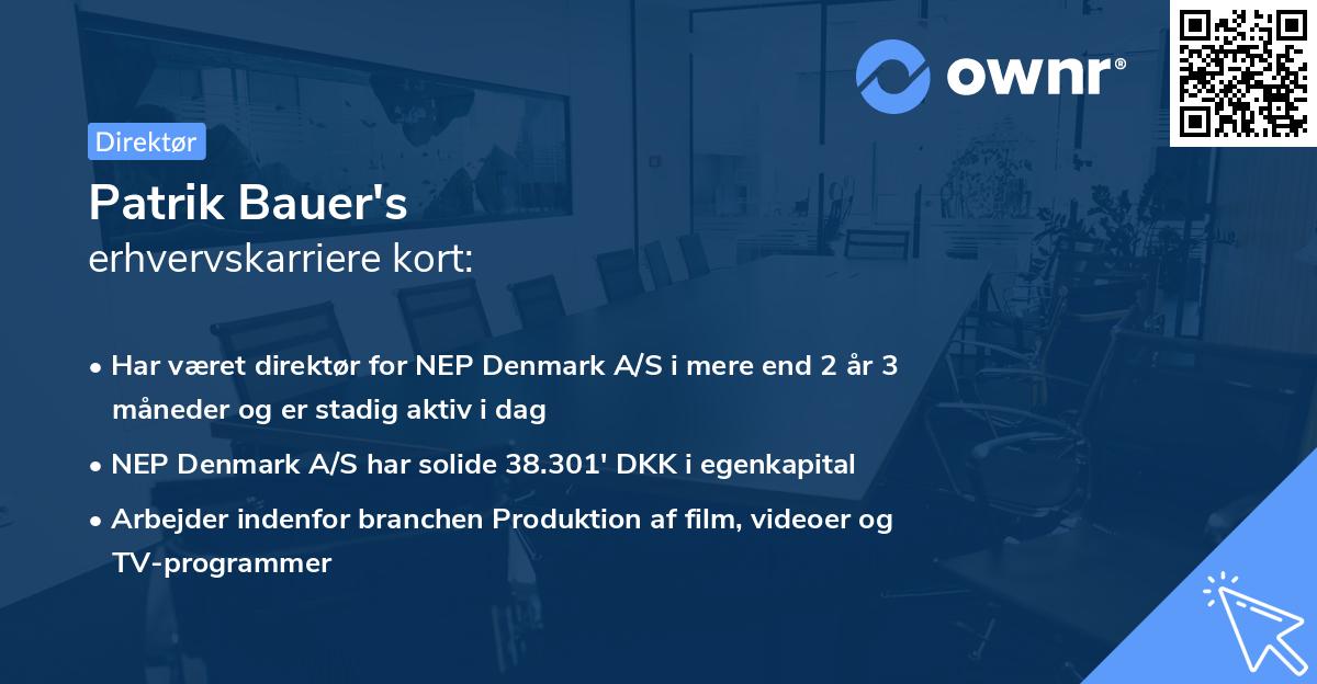 Patrik Bauer's erhvervskarriere kort