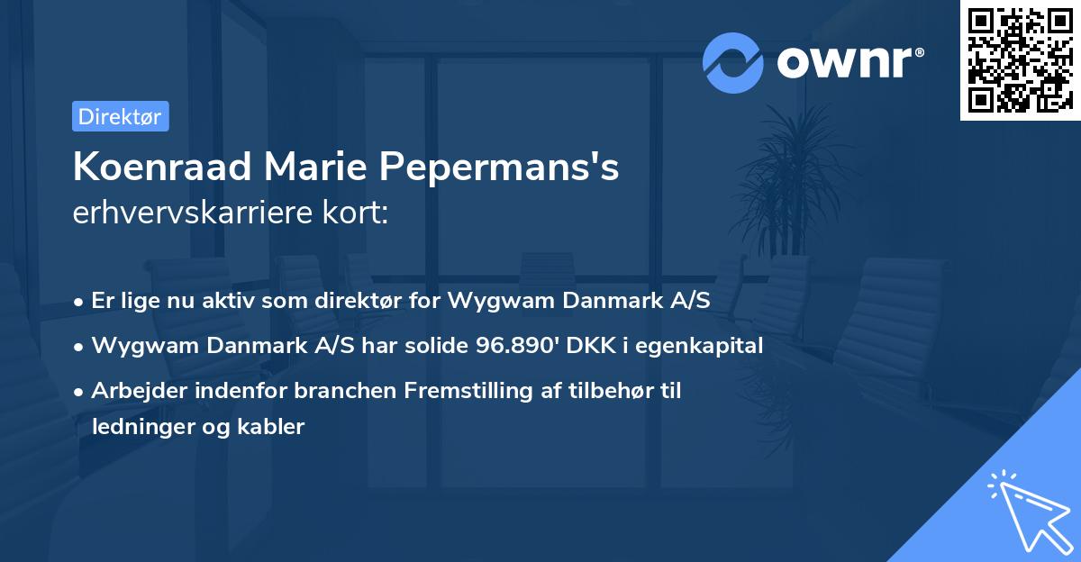 Koenraad Marie Pepermans's erhvervskarriere kort