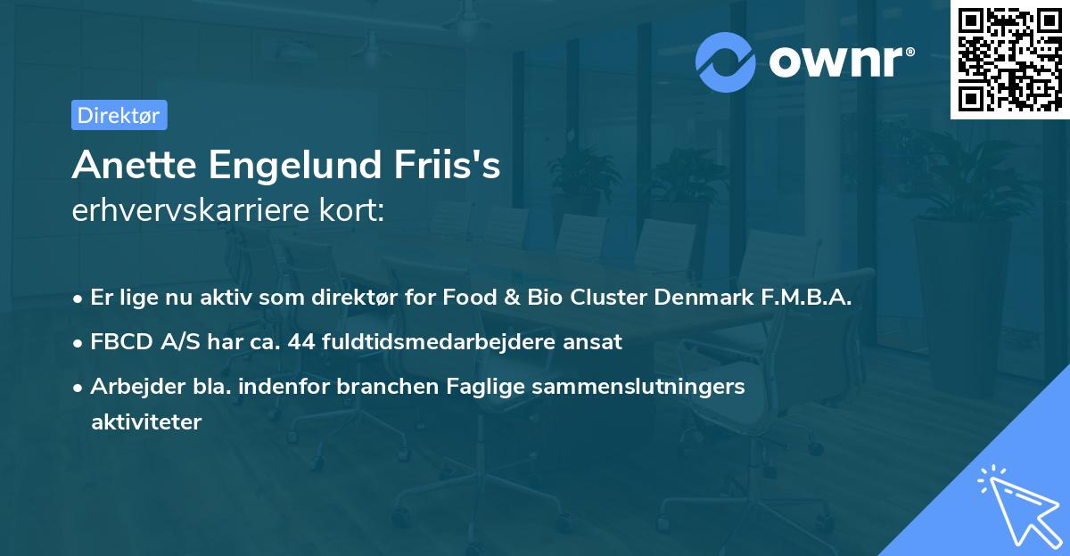 Anette Engelund Friis's erhvervskarriere kort