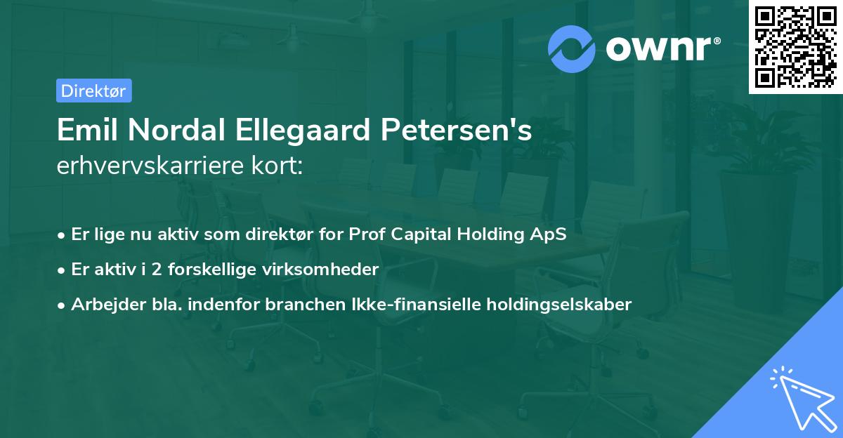 Emil Nordal Ellegaard Petersen's erhvervskarriere kort