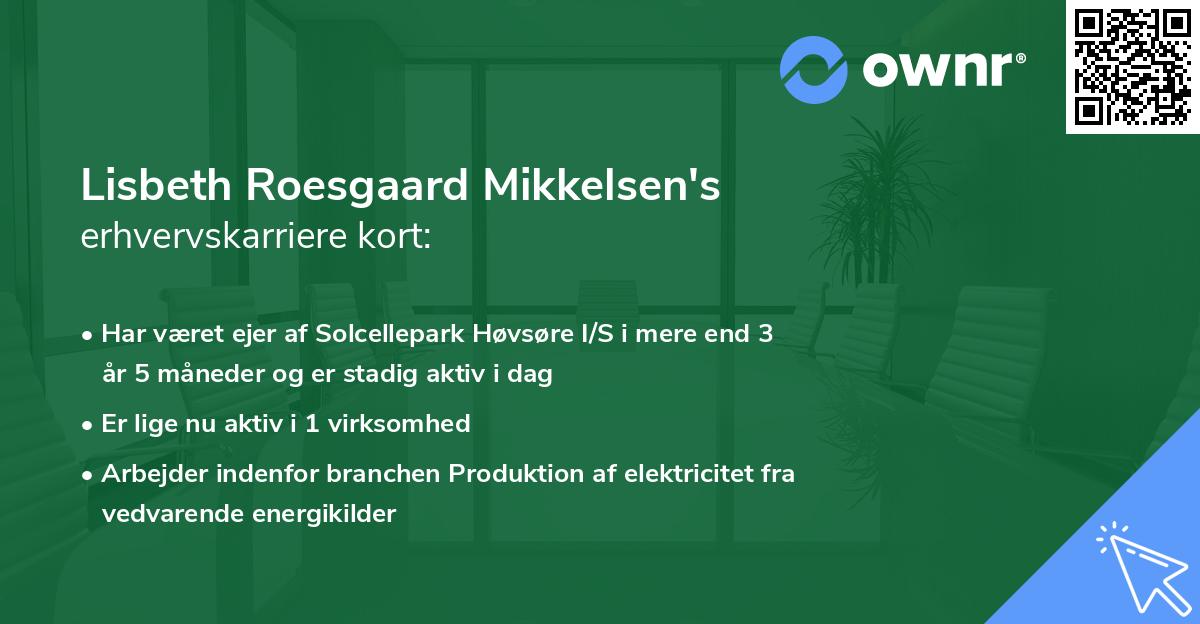 Lisbeth Roesgaard Mikkelsen's erhvervskarriere kort