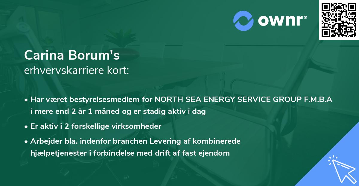 Carina Borum's erhvervskarriere kort