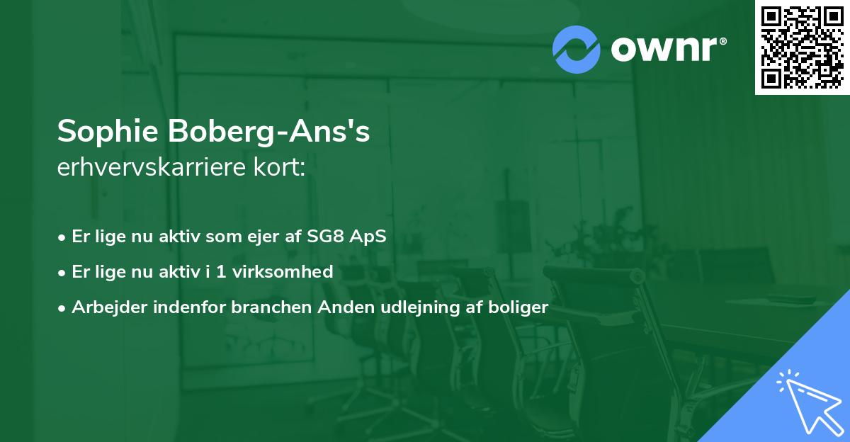 Sophie Boberg-Ans's erhvervskarriere kort