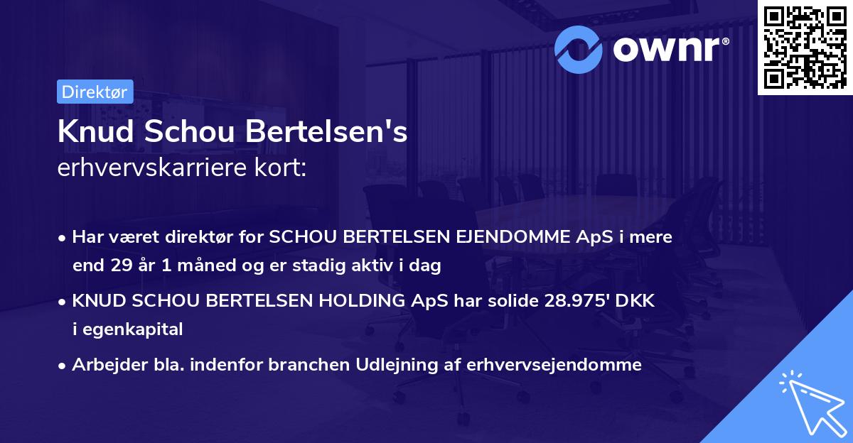 Knud Schou Bertelsen's erhvervskarriere kort