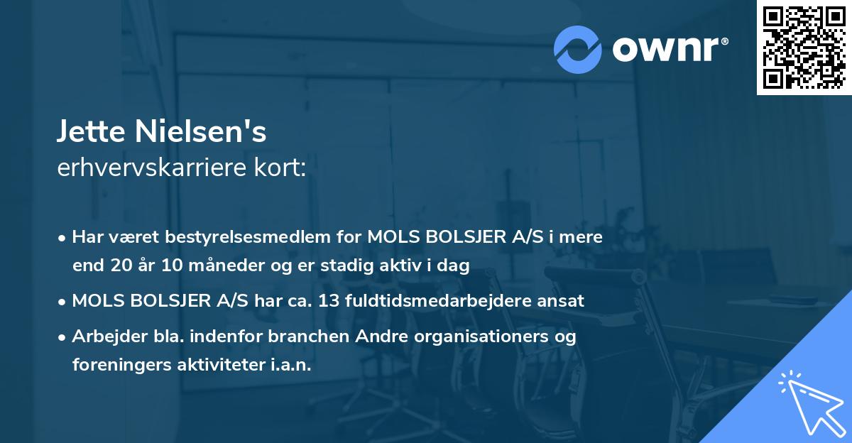 Jette Nielsen's erhvervskarriere kort