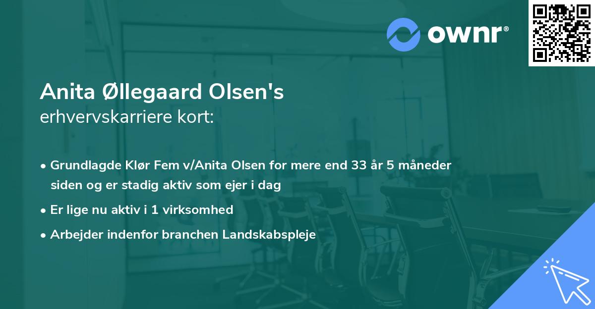 Anita Øllegaard Olsen's erhvervskarriere kort