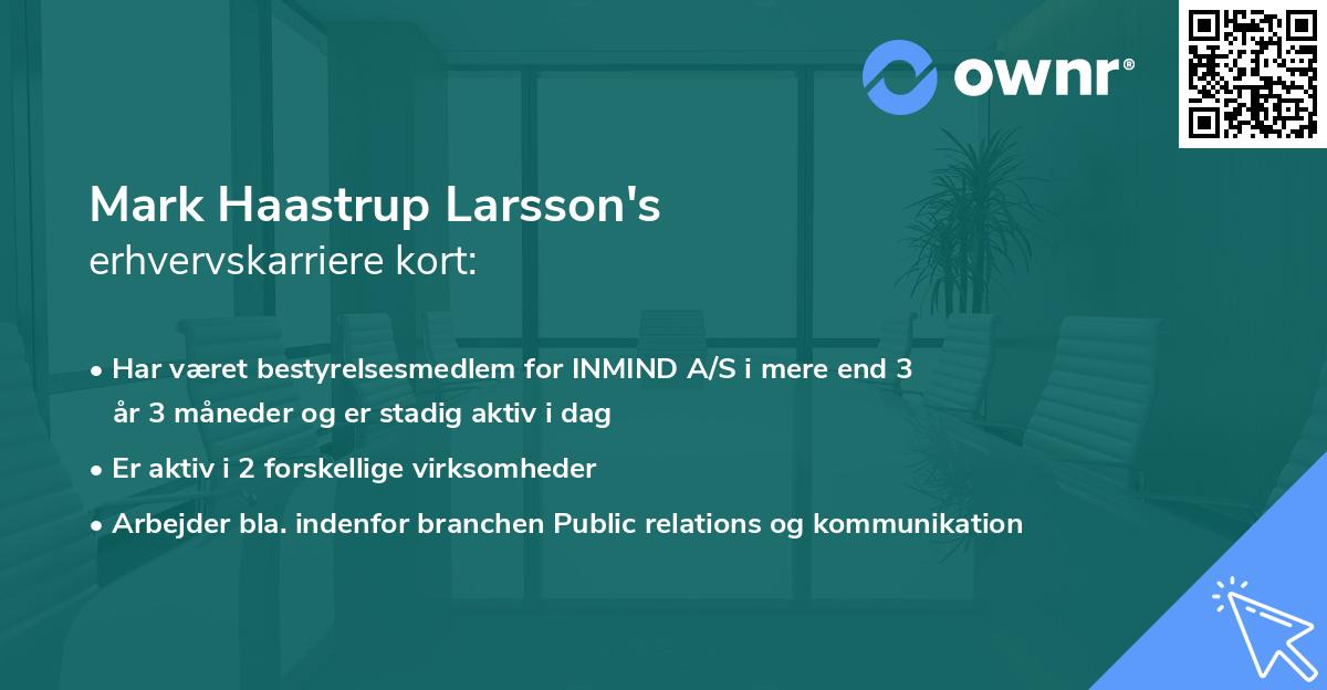 Mark Haastrup Larsson's erhvervskarriere kort