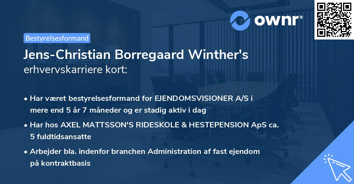 Jens-Christian Borregaard Winther's erhvervskarriere kort