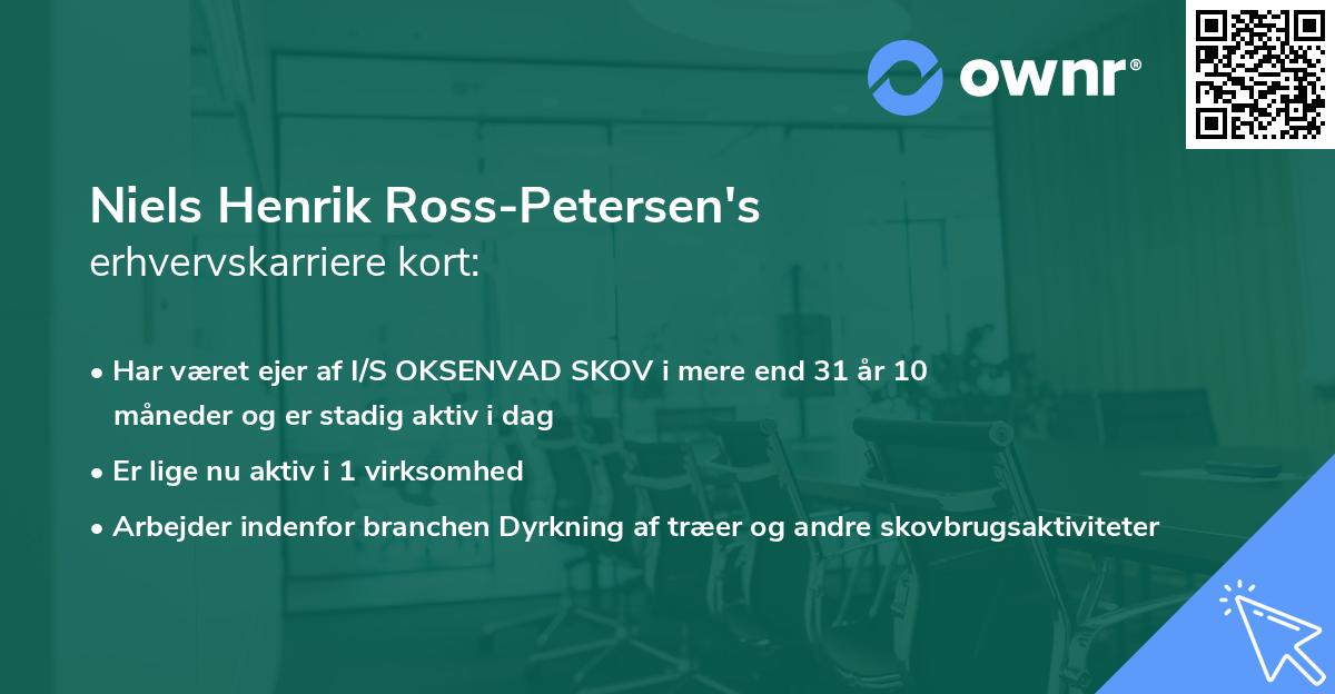 Niels Henrik Ross-Petersen's erhvervskarriere kort