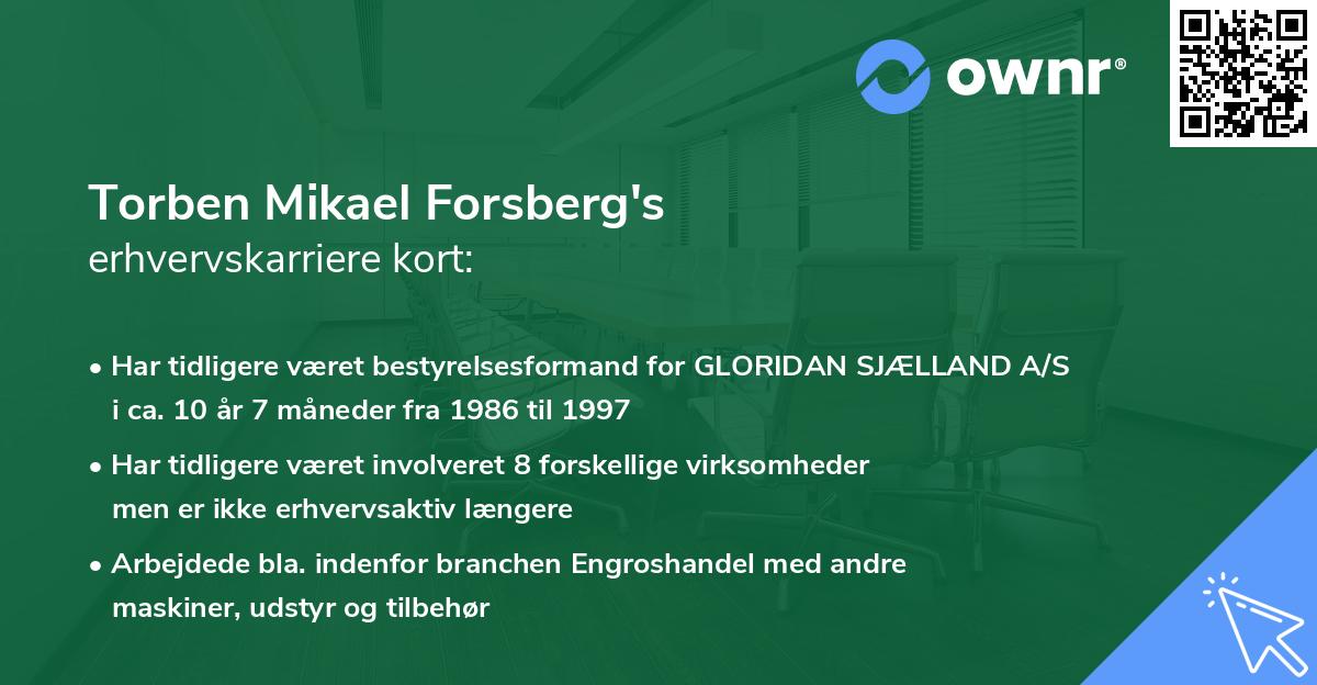 Torben Mikael Forsberg's erhvervskarriere kort