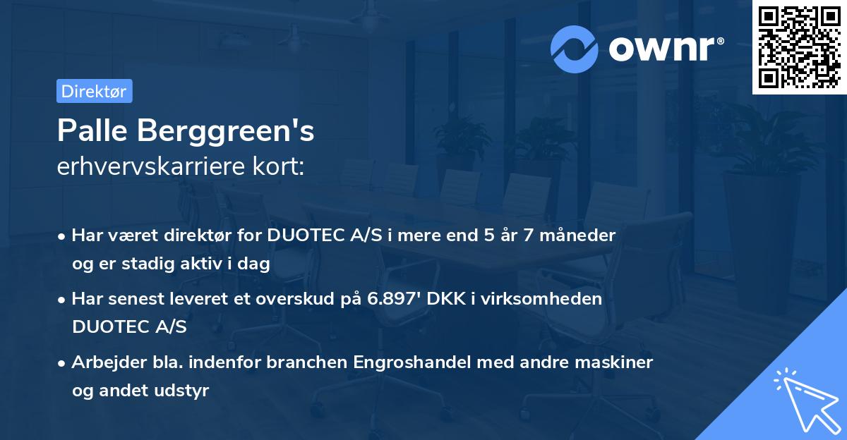 Palle Berggreen's erhvervskarriere kort