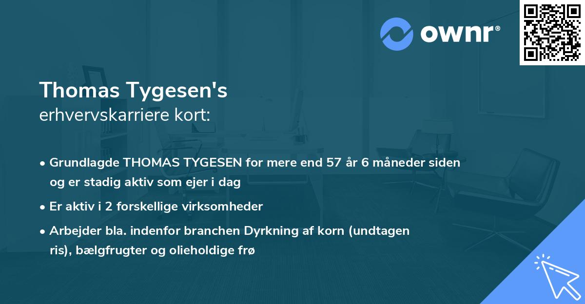 Thomas Tygesen's erhvervskarriere kort