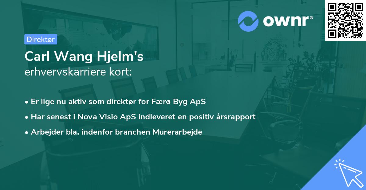 Carl Wang Hjelm's erhvervskarriere kort