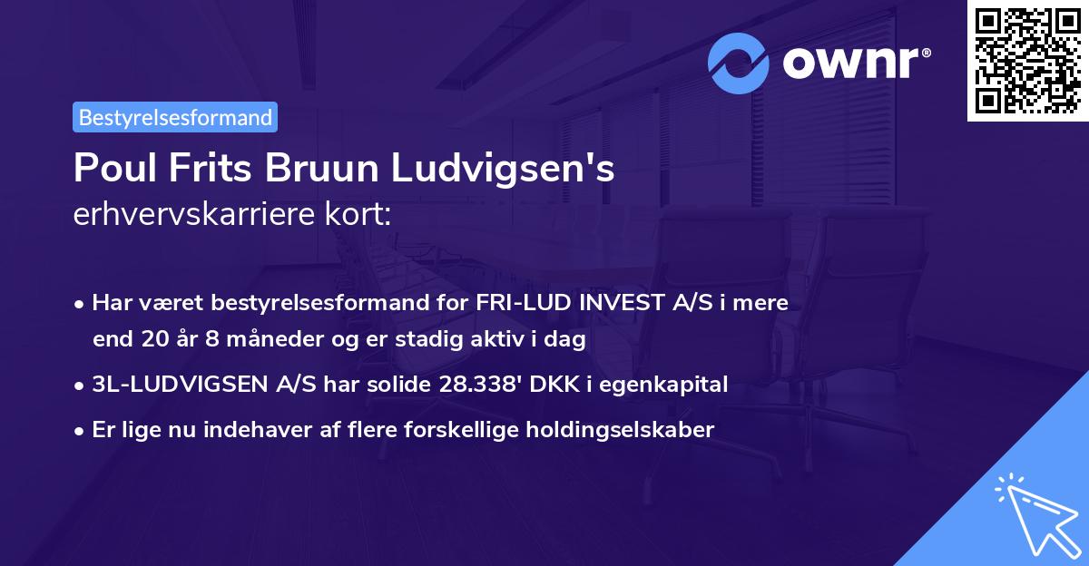 Poul Frits Bruun Ludvigsen's erhvervskarriere kort