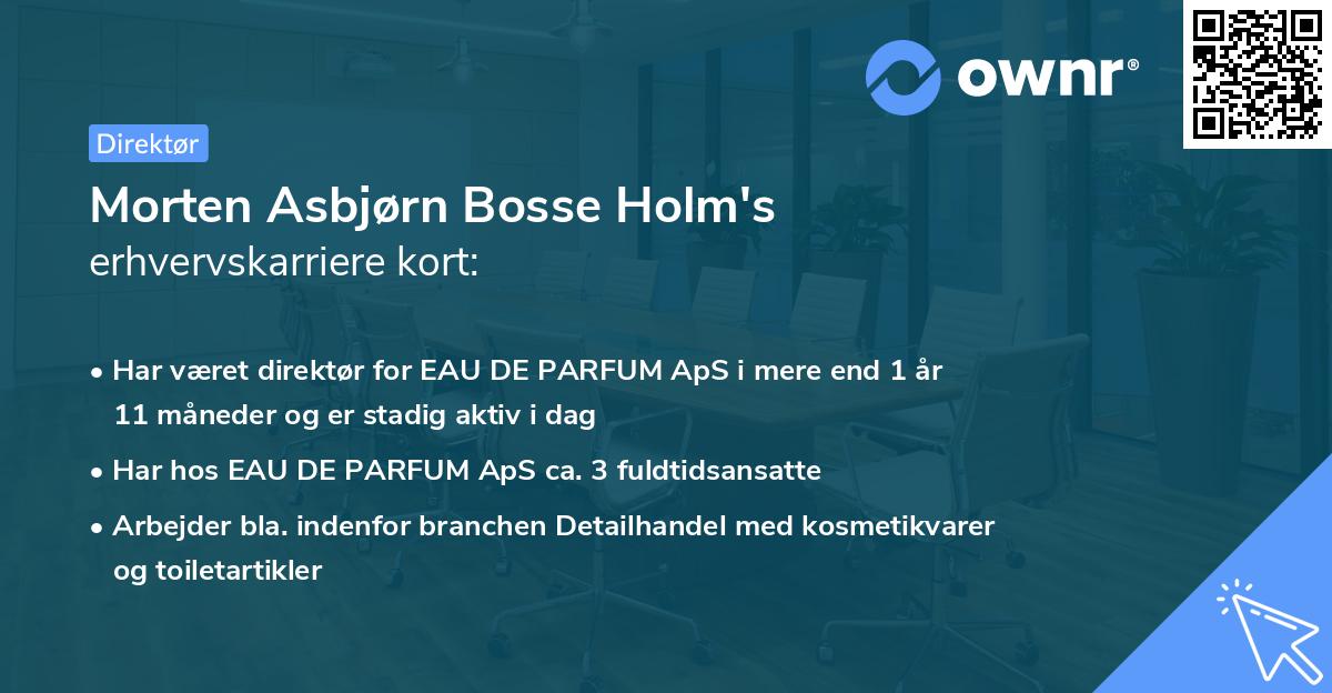Morten Asbjørn Bosse Holm's erhvervskarriere kort
