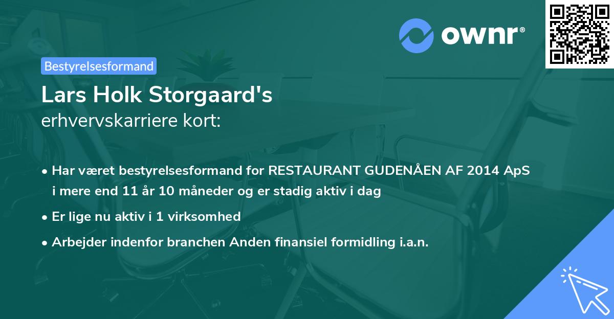 Lars Holk Storgaard's erhvervskarriere kort