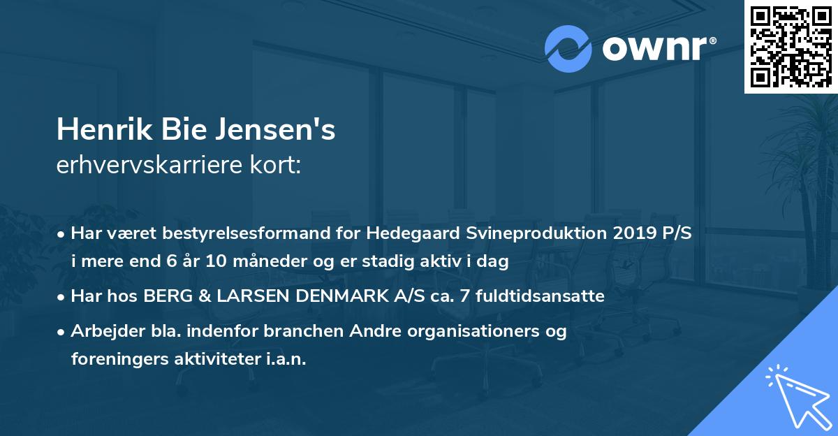 Henrik Bie Jensen's erhvervskarriere kort