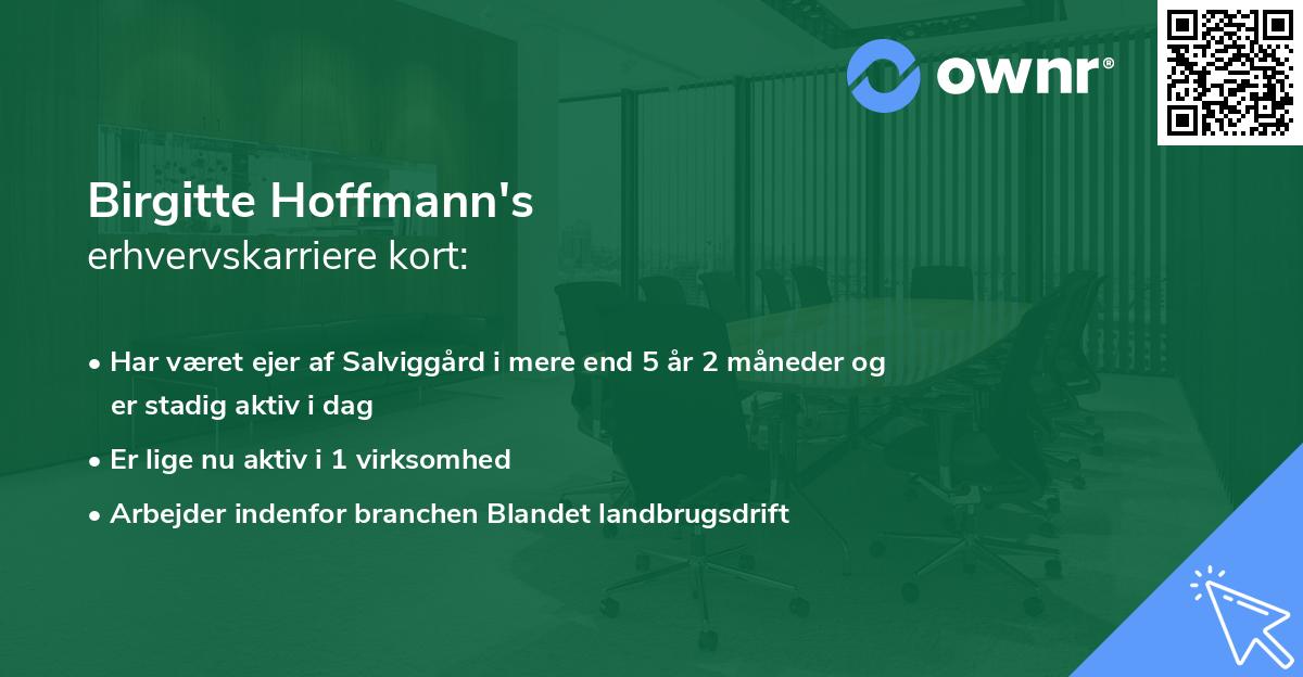 Birgitte Hoffmann's erhvervskarriere kort