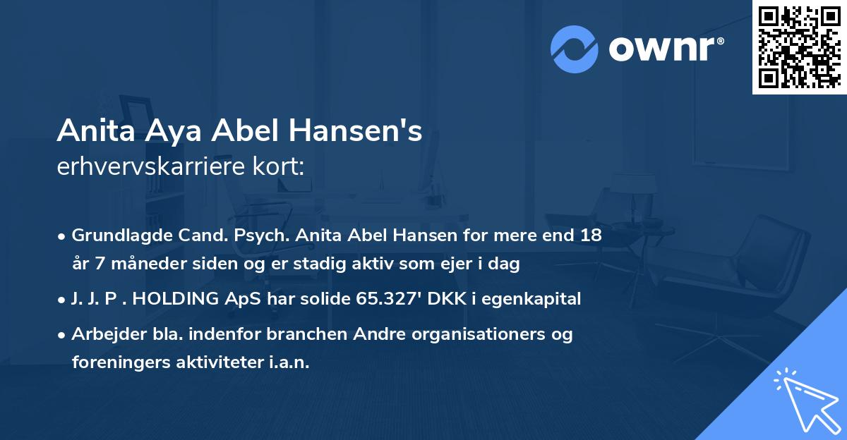 Anita Aya Abel Hansen's erhvervskarriere kort