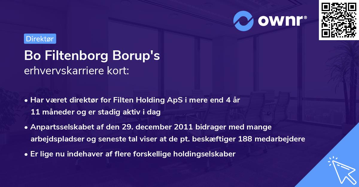 Bo Filtenborg Borup's erhvervskarriere kort