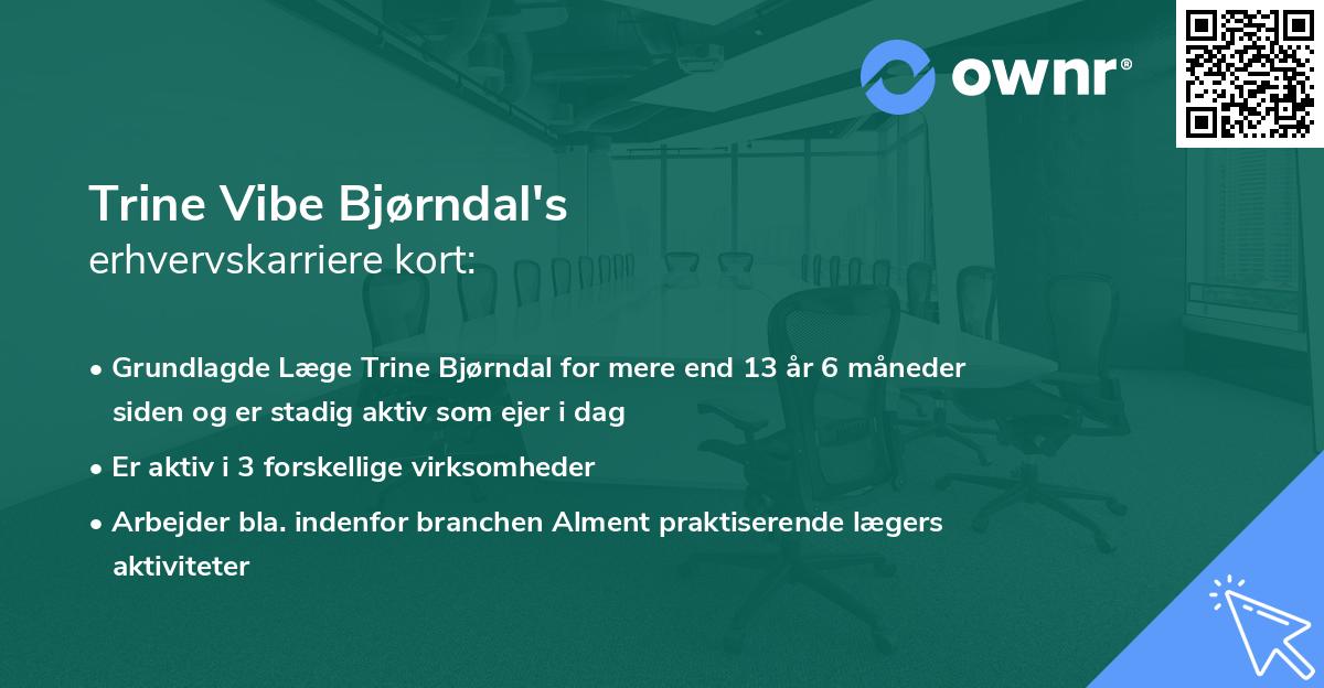 Trine Vibe Bjørndal's erhvervskarriere kort