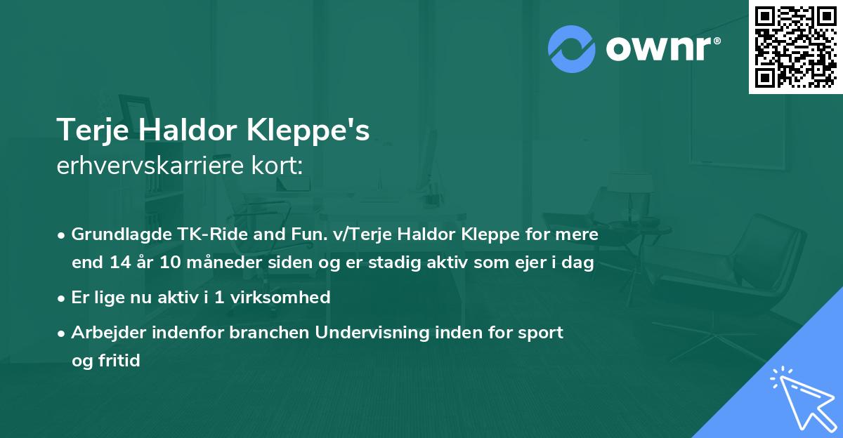 Terje Haldor Kleppe's erhvervskarriere kort