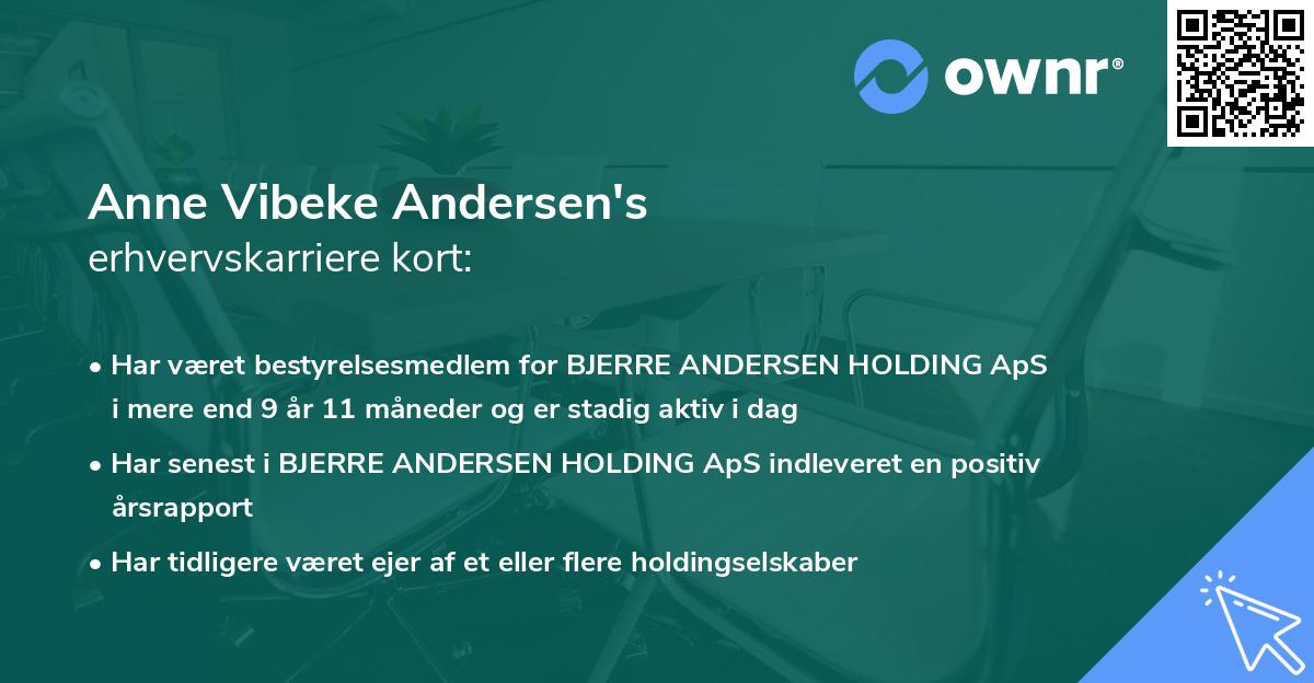 Anne Vibeke Andersen's erhvervskarriere kort