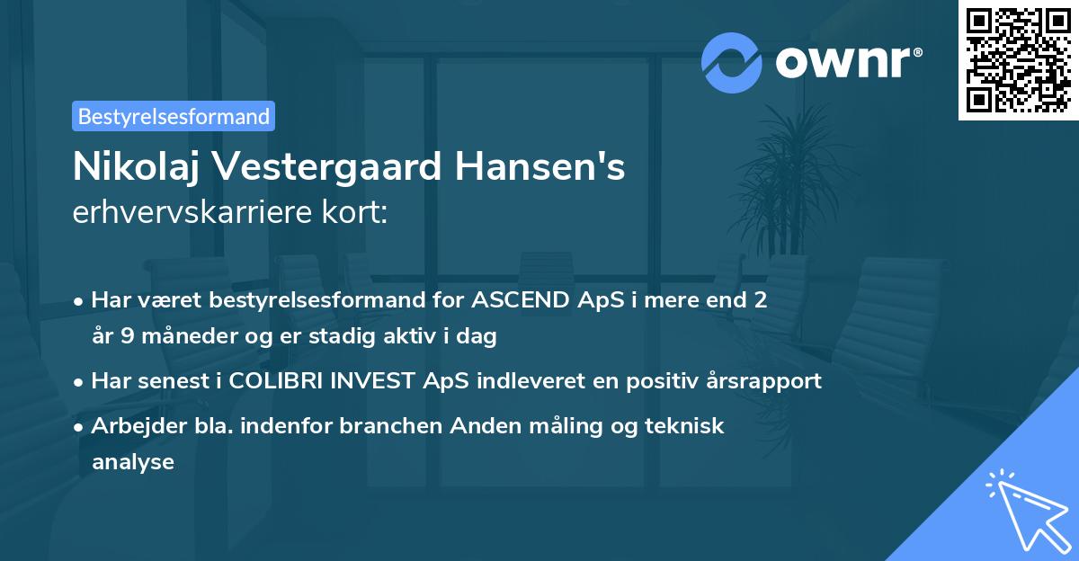 Nikolaj Vestergaard Hansen's erhvervskarriere kort