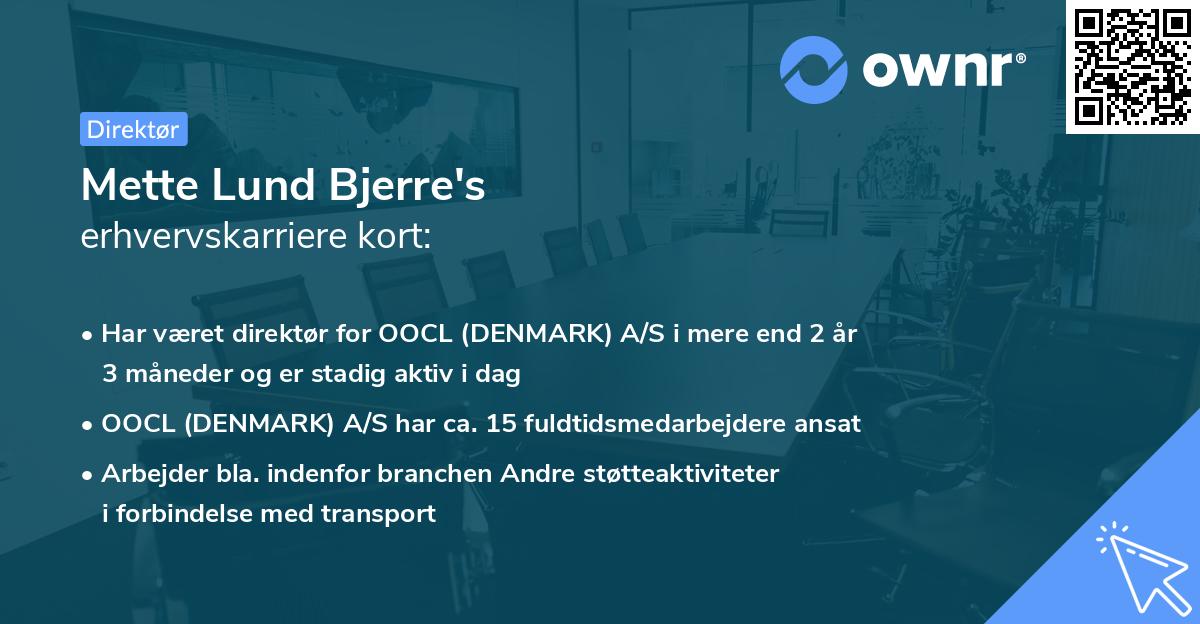 Mette Lund Bjerre's erhvervskarriere kort