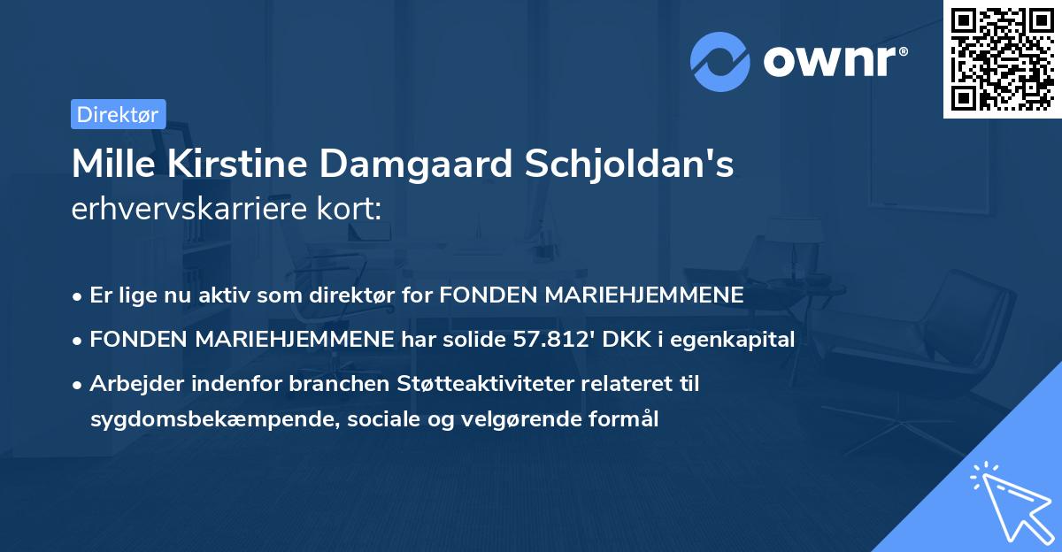 Mille Kirstine Damgaard Schjoldan's erhvervskarriere kort