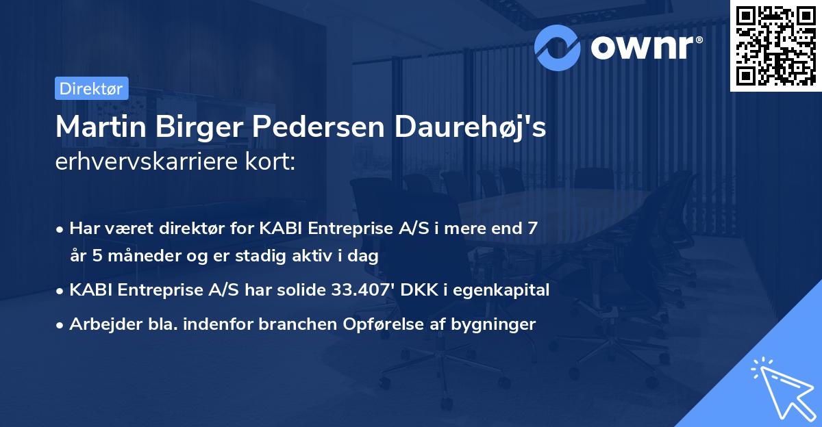 Martin Birger Pedersen Daurehøj's erhvervskarriere kort