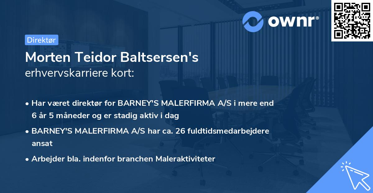 Morten Teidor Baltsersen's erhvervskarriere kort