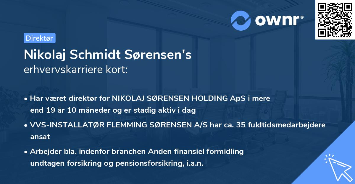 Nikolaj Schmidt Sørensen's erhvervskarriere kort