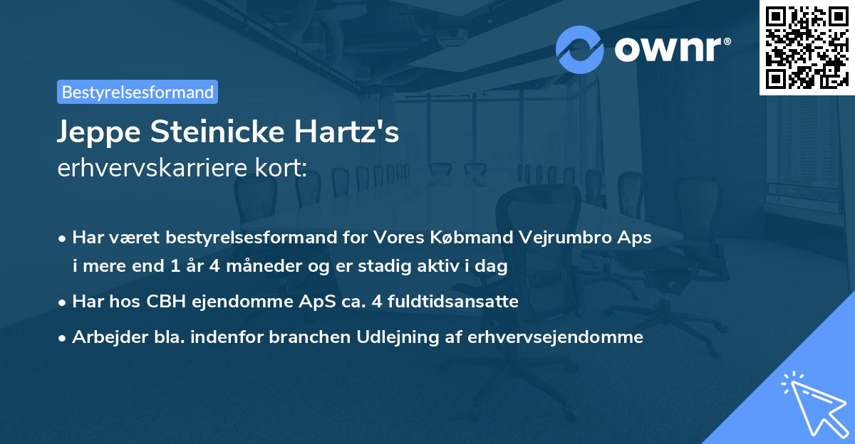 Jeppe Steinicke Hartz's erhvervskarriere kort