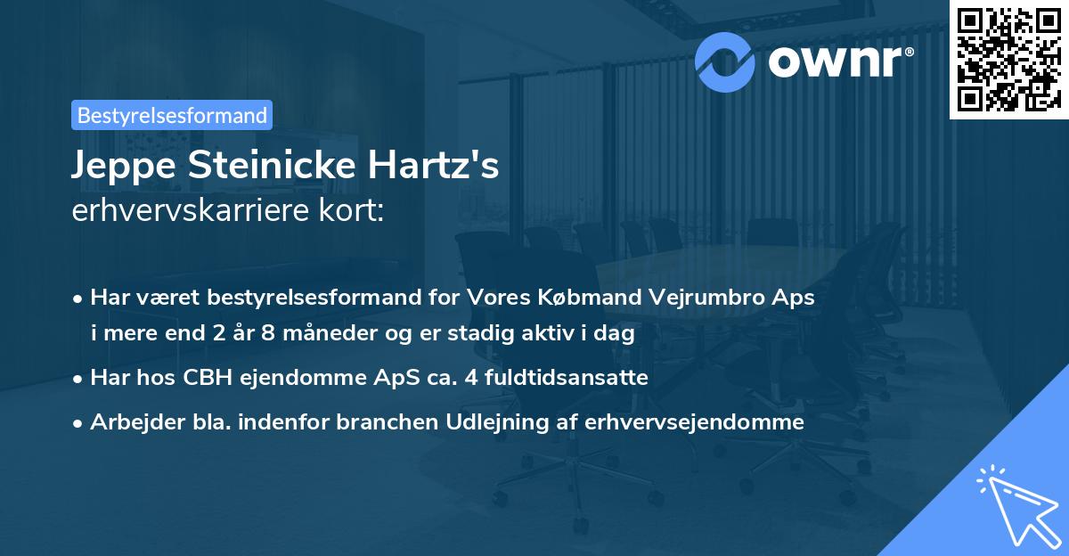 Jeppe Steinicke Hartz's erhvervskarriere kort